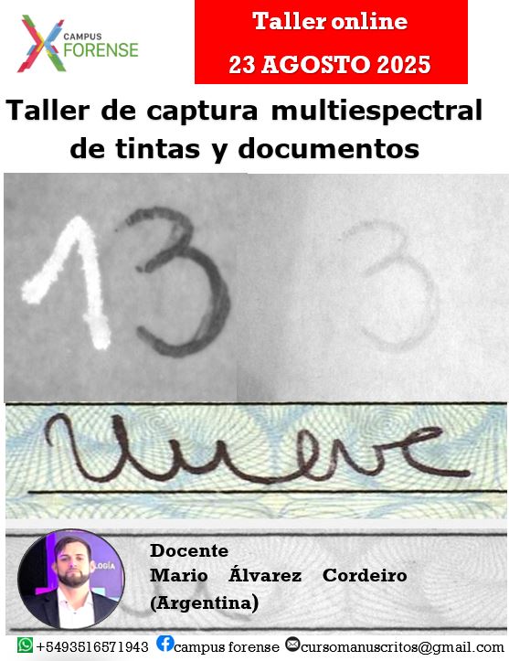 folleto mario multi